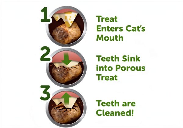 Wellness Cat Dental Treats Natural Toothbrush for Adult Cats-2