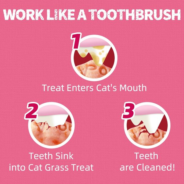 Just Try Salmon Cranberry Cat Treats Dental Urinary Health-4