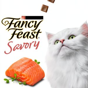 Fancy Feast Salmon Cat Treats Purina Tender Snacks-0
