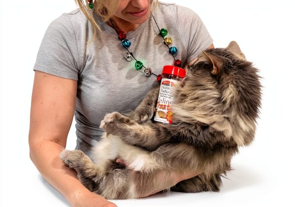Bench Field Holistic Cat Treats Omega Enriched Low Calorie-3
