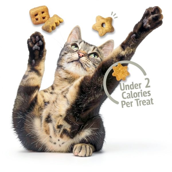 Friskies Cat Treats Breakfast Mix Purina-7
