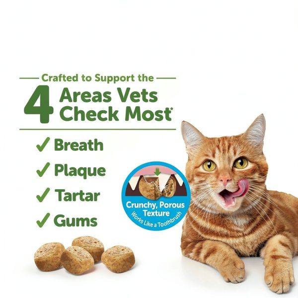 Wellness Cat Dental Treats Natural Toothbrush for Adult Cats-1
