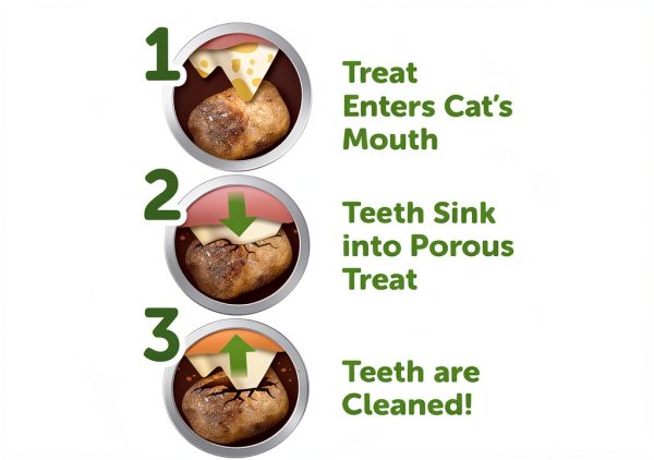 Wellness Cat Dental Treats Natural Toothbrush for Cats-2