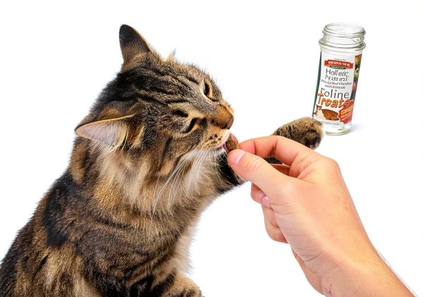 Bench Field Holistic Cat Treats Omega Enriched Low Calorie-1