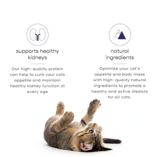 Dr Elseys Cat Treats High Protein Grain Free Crunchy-3