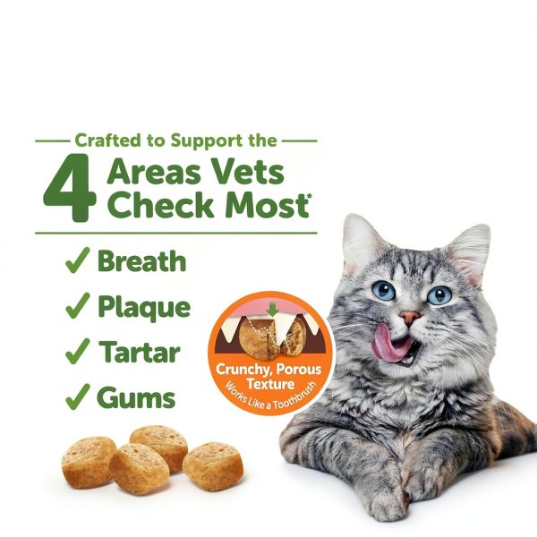 Wellness Cat Dental Treats Natural Toothbrush for Cats-1