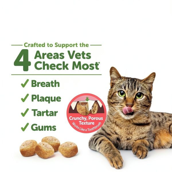 Wellness Cat Dental Treats Natural Toothbrush for Adult Cats-1