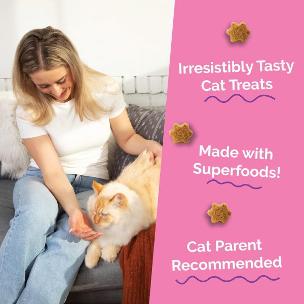 Fruitables Cat Treats Tuna Pumpkin Low Calorie Crunchy-2