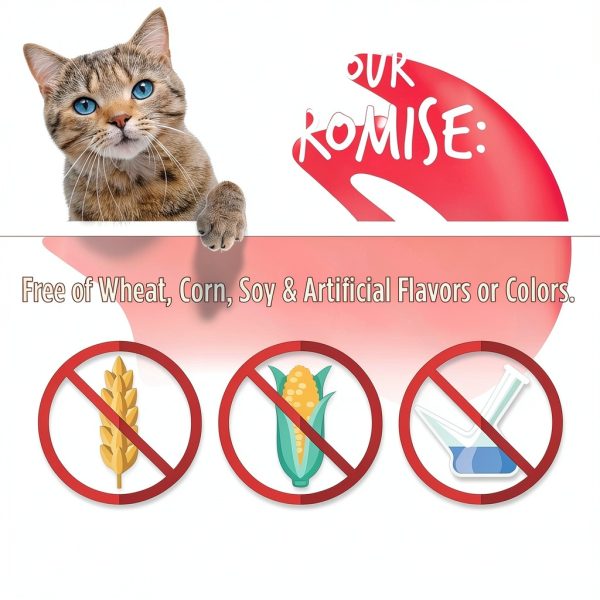 Fruitables Cat Treats Healthy Low Calorie Crunchy Superfoods-5