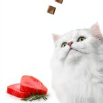 Fancy Feast Cat Treats Natural Limited Ingredient Soft-0