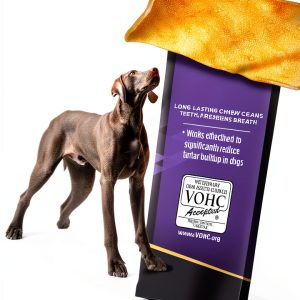 Purina Pro Plan Dental Chewz Dog Treats Clean Teeth-0