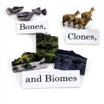 Mammal Zoology Kindle Illustrated University Press-0