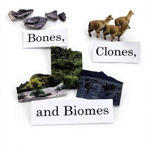 Mammal Zoology Kindle Illustrated University Press-0