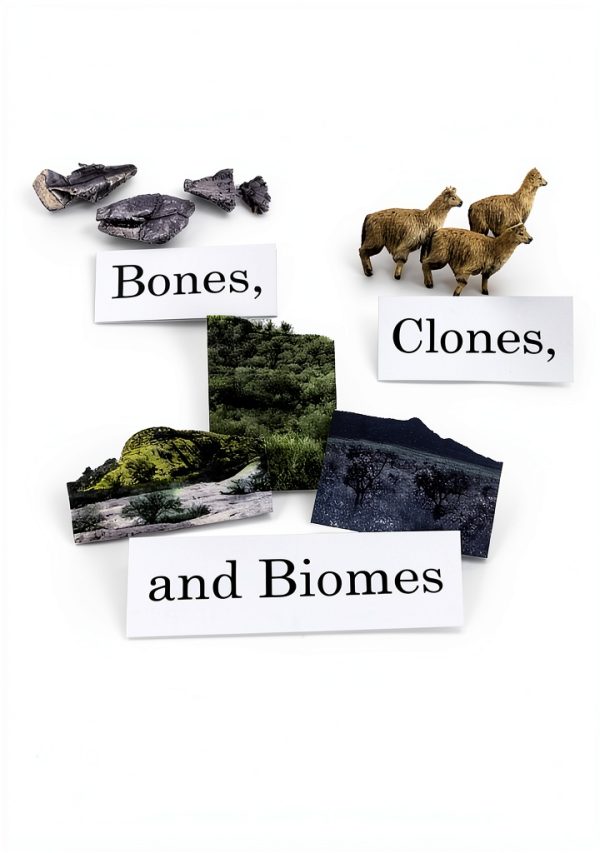 Mammal Zoology Kindle Illustrated University Press-0
