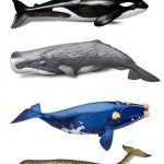 HarperCollins Illustrated Marine Life eBook 468 Page Illustrated Guide-0