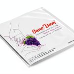 Grape 6 Packs SancDam Ultra-Thin Dental Dam 0.07mm 10x6 Inch-0