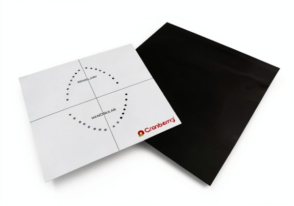 Cranberry USA Dental Dam CR8466 Dark Grey 6x6 Powder-Free Spearmint-2