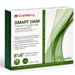 Cranberry USA Smart Dam Latex Powder-Free Spearmint 6x6 Green 36pcs-0