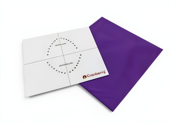 Cranberry USA Dental Dam CR8366 Spearmint 6x6 Lavender Pack of 15-2
